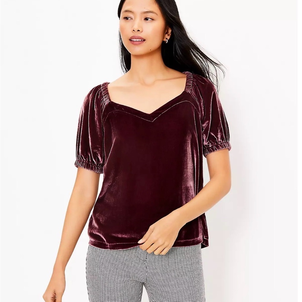 NWT Loft Velvet Puff Sleeve Top in a beautiful light burgundy color Sz XL